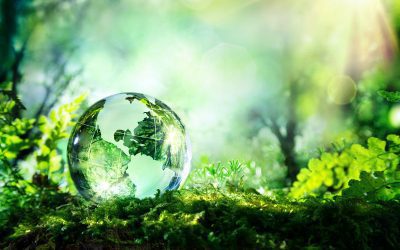 World Environment Day: Focus on local action